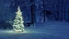 Rozsvícení vánočního stromečku Puclice 1